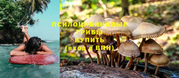ECSTASY Балахна