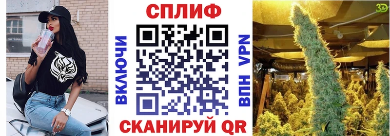 Бошки Шишки гибрид  darknet клад  Ленинградская 